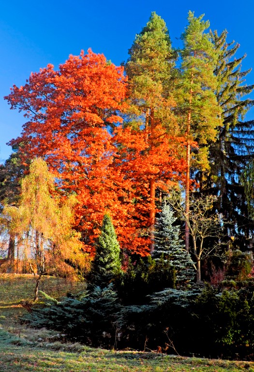 SOŠLaD Školský objekt Hrádocké arborétum